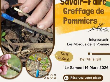Stage "Greffage de pommiers"