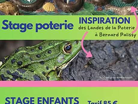 Stage poterie "toutes techniques"