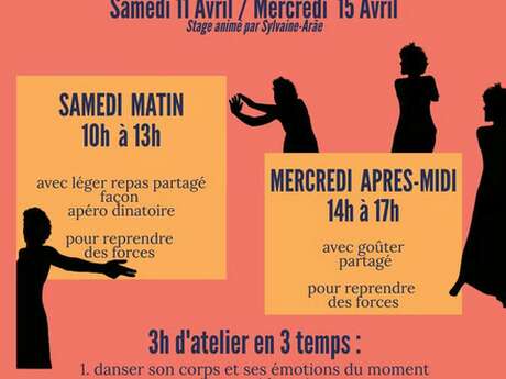 Stage adulte danse libre