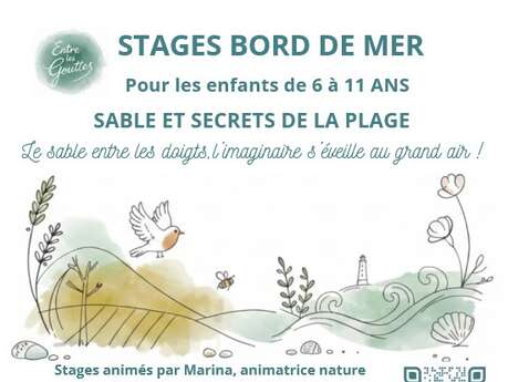 Sable et Secrets de la plage