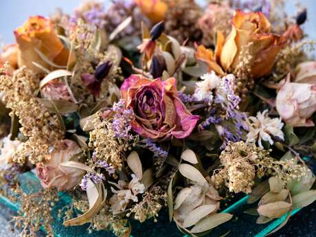 Atelier Fleurs séchées