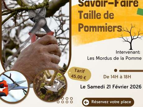 Stage "Taille de pommiers"