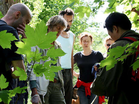 Balade - atelier avec le restaurant "La Tête Noire"