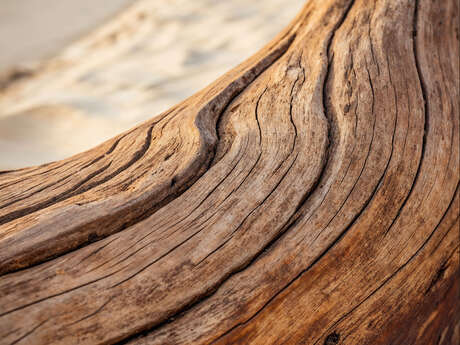 Expo artisanat - Astuces et gribouilles
