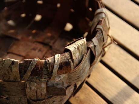 Initiation à la vannerie sauvage