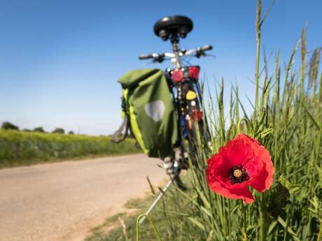 Visite guidée - Le patrimoine mégalithique à vélo Visite guidée - Le patrimoine mégalithique à vélo