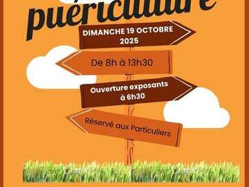 Vide grenier puériculture
