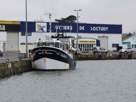 Les Viviers de Loctudy Les Viviers de Loctudy