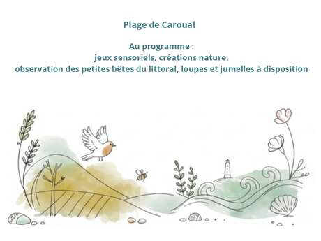Sable et Secrets de la plage