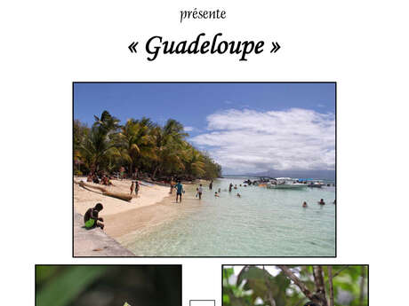 Exposition photos : "Guadeloupe"
