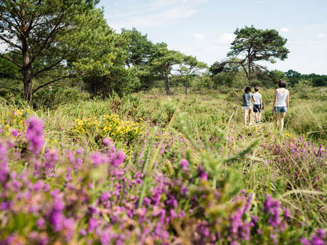 Landes de La Poterie