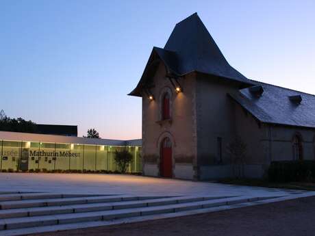 Le musée en résonance : et si le travail de Mathurin Méheut pouvait s’entendre ? - Les Minutes Bleues