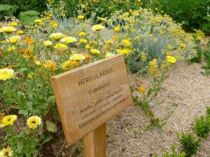 Visite du jardin médiéval Saint Jean