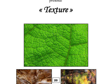 Exposition photos : "Texture"