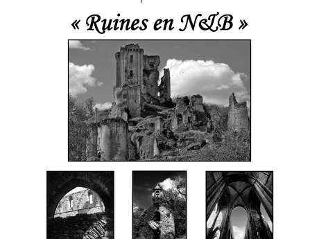 Exposition photos : "Ruines en N&B"