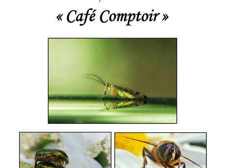 Exposition photos : "Café Comptoir partie 2"
