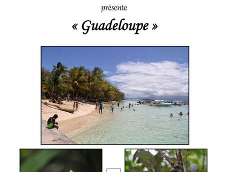 Exposition photos : "Guadeloupe"
