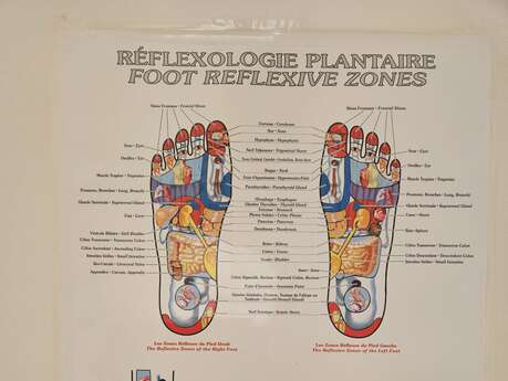 Le Coup de Mains de Stéphanie