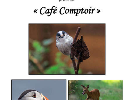 Exposition photos : "Café Comptoir partie 1"