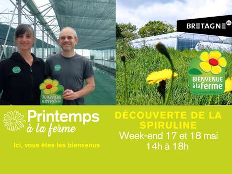 Portes ouvertes chez Spiruline d'Armor