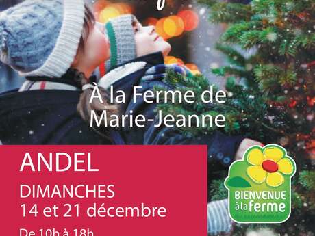 Marché de Noël à la ferme