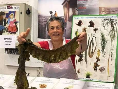Atelier présentation des algues alimentaires par Scarlette Le Corre