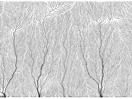 Journée de gravure sur linoléum