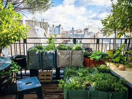 Potager au balcon Potager au balcon