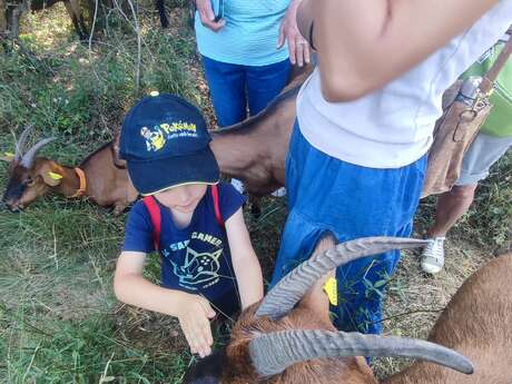 LES MERCREDIS AU PAYS : MAS ALENGIN - SVEN BACHMANN - 15 JUILLET 2026 - 16H30