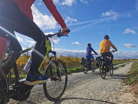 À VÉLO DANS LES VIGNES DE SAINT-CHINIAN