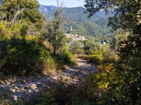 CIRCUIT N°2 TOUR DU MONDE – SITE VTT-FFC CAROUX EN HAUT-LANGUEDOC