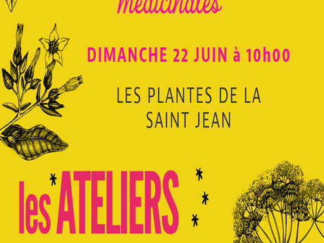 LES ATELIERS DE PALMIRA - LES PLANTES DE LA SAINT-JEAN