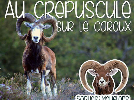 AU CRÉPUSCULE SUR LE CAROUX !