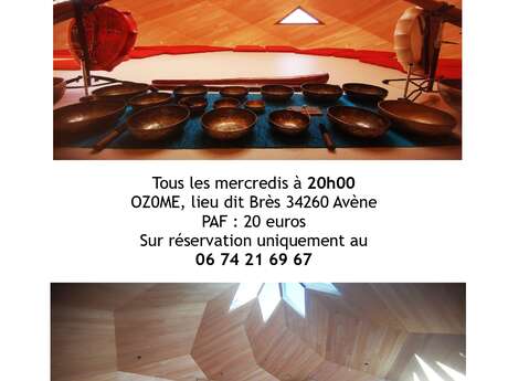 VOYAGES SONORES AUX GONGS ET BOLS TIBETAINS