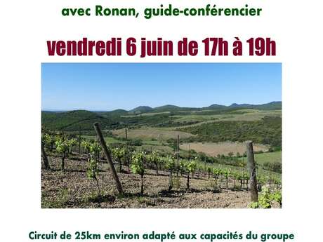 LE VIGNOBLE À VÉLO