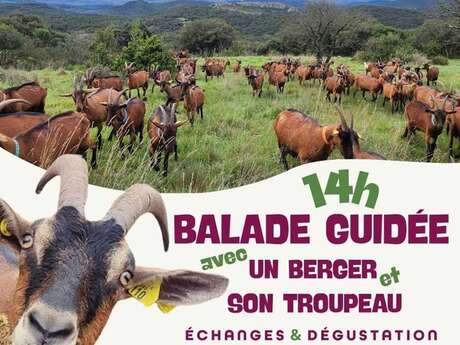 LES ÉCHAPPÉES PASTORALES - LA FERME DU MAS ROLLAND