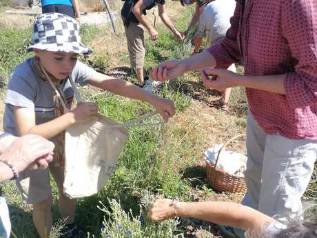 LES MERCREDIS AU PAYS - LE JARDIN DEBOUT - 8 JUILLET 2026 - 10H00