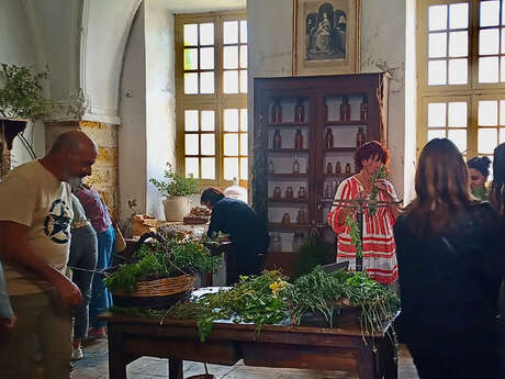 LES ATELIERS DES PLANTES MÉDICINALES DE PALMIRA