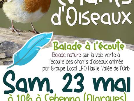 BALADE NATURE : CHANTS D’OISEAUX