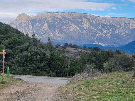 PASSA MERIDIA N° 21 - ROQUEBRUN / OLARGUES