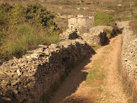 CIRCUIT LES DOUSES - SITE VTT GRAND ORB EN HAUT LANGUEDOC