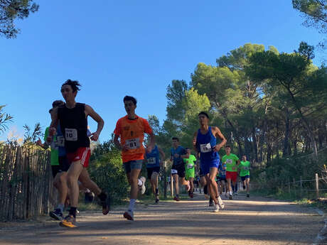 TRAIL DES BANUTS