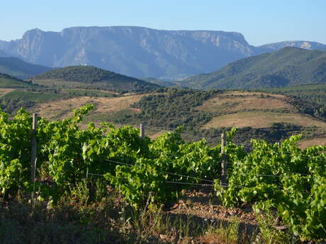 DOMAINE LES TERRASSES DE GABRIELLE