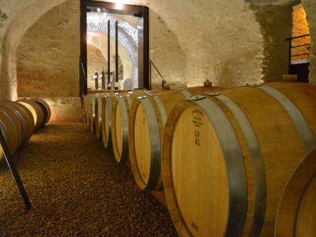 CHATEAU CHENAIE