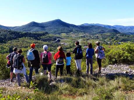 LES CAPITELLES - VISITE DECOUVERTE DU CAUSSE DE BEDARIEUX - SAMEDI 18 JUILLET 2026 - 9H