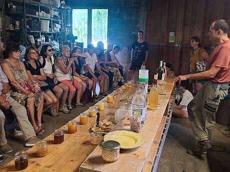 LES MERCREDIS AU PAYS : LE RUCHER DES ARTS - 5 AOUT 2026 - 16 H