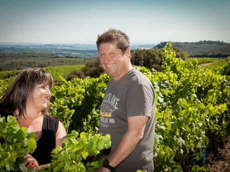 DOMAINE OLLIER-TAILLEFER