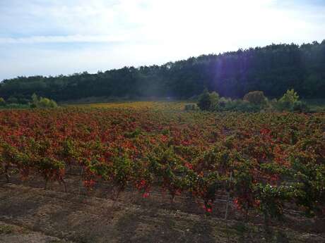 DOMAINE LA MAURERIE