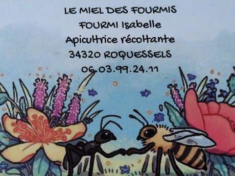LE MIEL DES FOURMIS