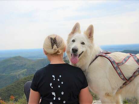 ECOLE CANINE D'HYDRA
